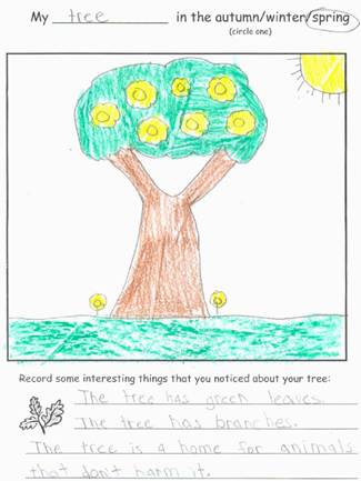 Spring Tree